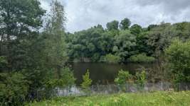 Hundeauslaufgebiet-Halde Rölighausen da neben ein See-Bild