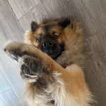 Ersteller:in Verena Profilbild