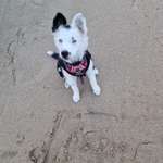 Ersteller:in Christina Profilbild