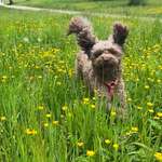 Ersteller:in Alexandra Profilbild