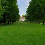 Hundeauslaufgebiet-Raffelbergpark-Bild