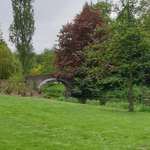 Hundeauslaufgebiet-Raffelbergpark-Bild