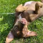 Ersteller:in Ellie Profilbild