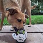 Ersteller:in Kim Profilbild