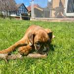 Ersteller:in Marie Profilbild