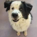 Ersteller:in Katrin Profilbild