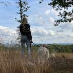 Ersteller:in Jacqueline Profilbild