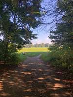 Hundeauslaufgebiet-Forstenrieder Park-Bild