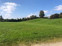 Hundeauslaufgebiet-Forstenrieder Park-Bild