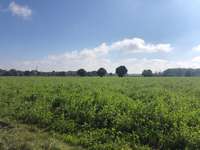 Hundeauslaufgebiet-Forstenrieder Park-Bild