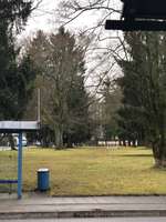 Hundeauslaufgebiet-Spindler Platz-Bild