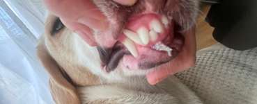 Kennt das jemand?-Beitrag-Bild