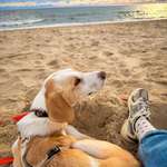 Ersteller:in Anna Profilbild