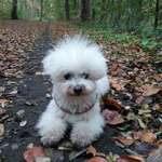 Ersteller:in Martina Profilbild