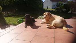 Ersteller:in Tina Profilbild