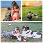 Ersteller:in Svenja Profilbild