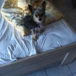 Ersteller:in Anja Profilbild