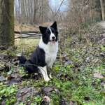 Ersteller:in Dana Profilbild