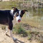 Ersteller:in Talia Profilbild