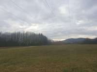 Hundeauslaufgebiet-Rundgang um den See-Bild