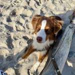 Ersteller:in Franziska Profilbild