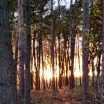 Ersteller:in Ivonne Profilbild