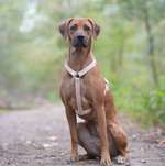 Ersteller:in Helena Profilbild