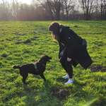 Ersteller:in Kathrin Profilbild