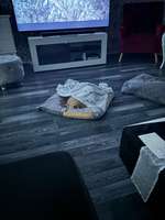 Vestibularsyndrom-Beitrag-Bild