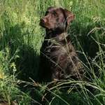 Ersteller:in Claudia Profilbild