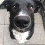 Ersteller:in Maria Profilbild