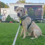 Ersteller:in Chiara Profilbild