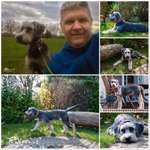 Ersteller:in Pia Profilbild