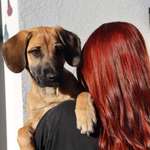 Ersteller:in Lia Profilbild