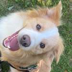 Ersteller:in Diana Profilbild