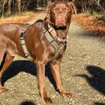 Ersteller:in Adelina Profilbild