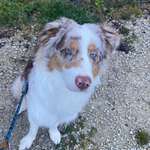 Ersteller:in Vanessa Profilbild