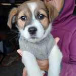 Ersteller:in I. Profilbild