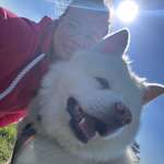 Ersteller:in Sandra Profilbild