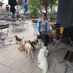 Ersteller:in Jenni Profilbild