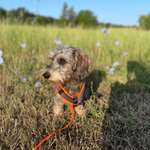 Ersteller:in Kimberley Profilbild