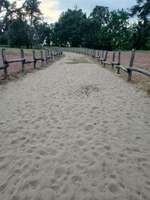 Hundeauslaufgebiet-Sandhäuser Dünen-Bild