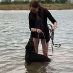 Ersteller:in Jessi Profilbild