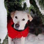 Ersteller:in Kröten_zauber Profilbild