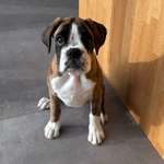 Ersteller:in Katharina Profilbild