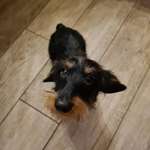 Ersteller:in Michaela Profilbild