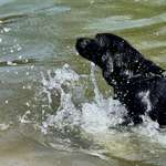 Ersteller:in Angelika und Peter Profilbild