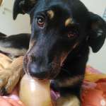 Ersteller:in Saskia Profilbild