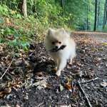 Ersteller:in Pia & Profilbild