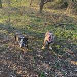 Ersteller:in Sarah Profilbild